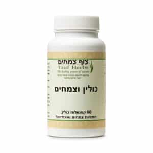 כולין וצמחים - Choline Herbs