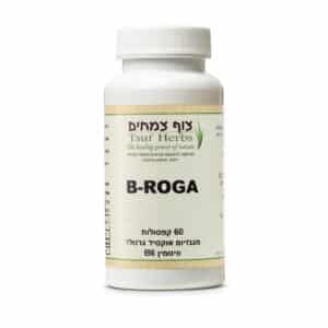 B ROGA - בי רוגע