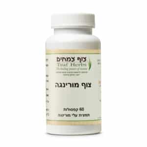 מורינגה