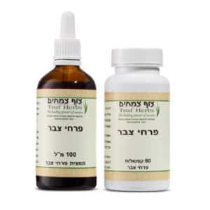 פרחי צבר - Opuntia Ficus – Indica